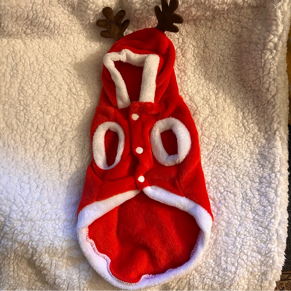 Cat and Small dog jacket, Christmas